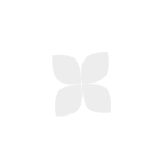 �A�DA� ���EK SEPET�