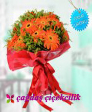 GERBERA BUKET